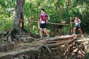 BIB: 
                            <button type="button" onclick="openModal(27552073)" class="btn btn-primary btn-sm float-right btn-popup" data-toggle="modal" data-target=".modal-high-quality">
                        <i class="fas fa-shopping-cart"></i> Add to Cart
                    </button>
                                            <button type="button" onclick="isThisMe(27552073, true)" class="btn btn-success btn-sm float-right btn-popup btn-isme hidden" data-toggle="tooltip" data-placement="bottom" title="นี่คือรูปของคุณใช่ไหม คลิกที่นี่เพื่อเอาเข้าอัลบั้ม">
                        <i class="fas fa-plus"></i> Add to album
                    </button>
                    <button type="button" onclick="isThisMe(27552073, false)" class="btn btn-warning btn-sm float-right btn-popup btn-isnotme hidden">
                        <i class="fas fa-ban"></i> Remove from album
                    </button>